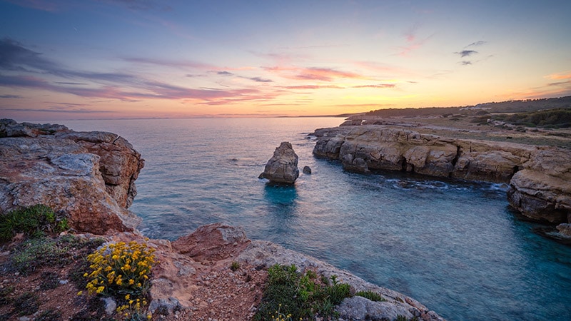 Cedula Habitabilidad Consell Insular Menorca