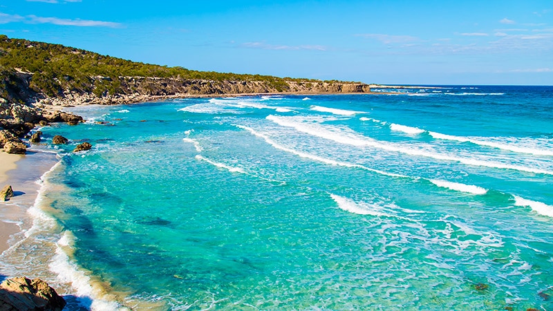 Cedula Habitabilitat Menorca